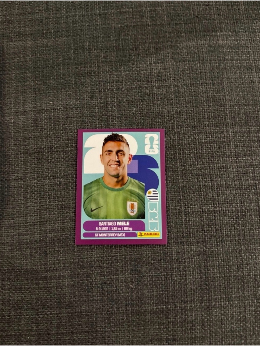 Panini Sticker Card - Purple Border, Green Jersey
